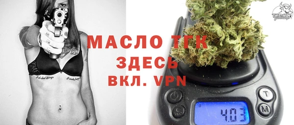 хмурый Арсеньев