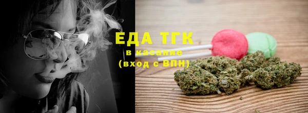 хмурый Арсеньев