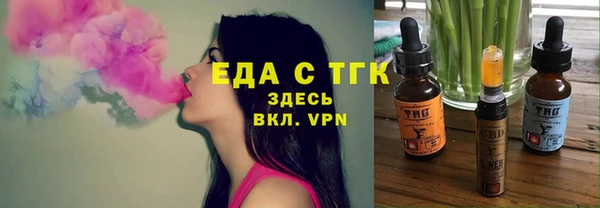 хмурый Арсеньев