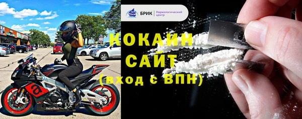 хмурый Арсеньев