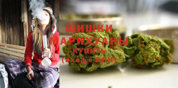 хмурый Арсеньев