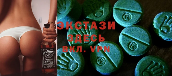 хмурый Арсеньев