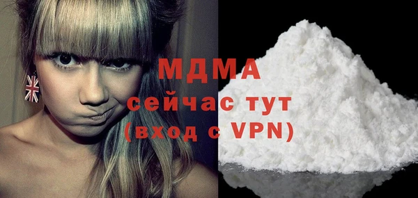 хмурый Арсеньев