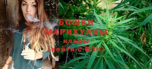 хмурый Арсеньев